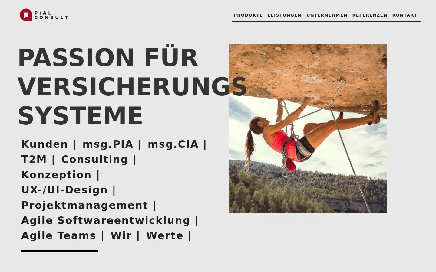 Screenshot of pial-consult.com