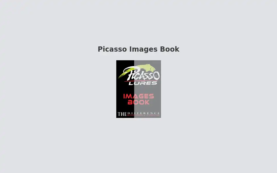 Screenshot of picassooutdoors.com
