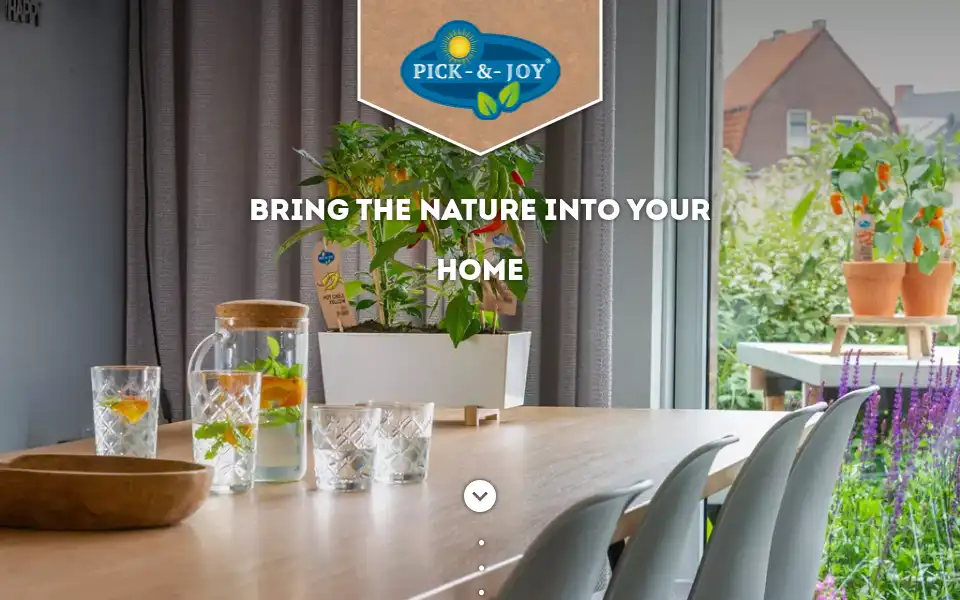 Screenshot of pickandjoy.com