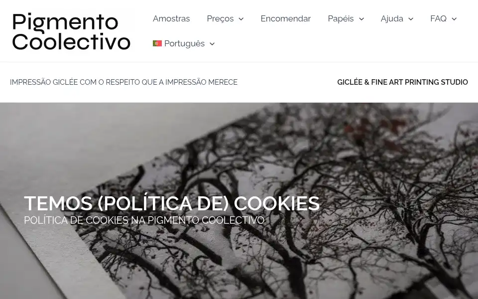 Screenshot of pigmentocoolectivo.com