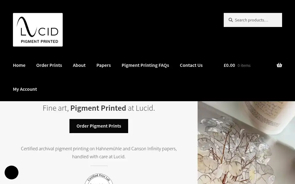 Screenshot of pigmentprinted.com