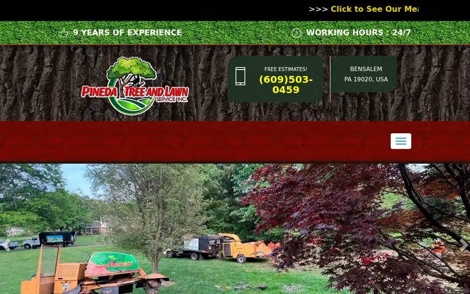 Screenshot of pinedatreelawnserviceinc.us