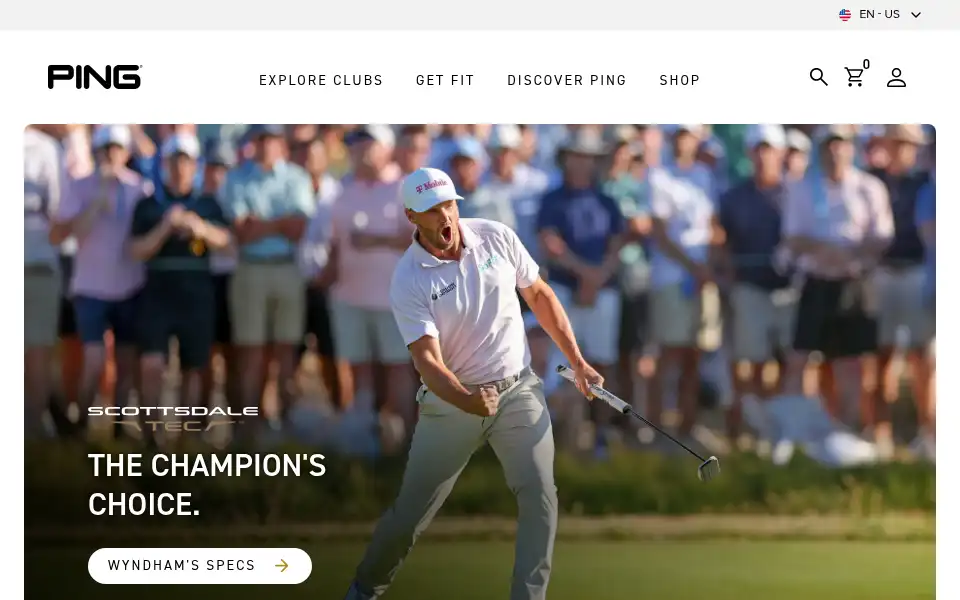 Screenshot of ping.com
