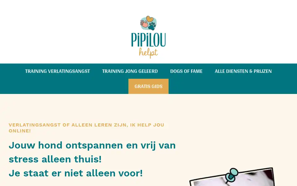 Screenshot of pipilouhelpt.nl
