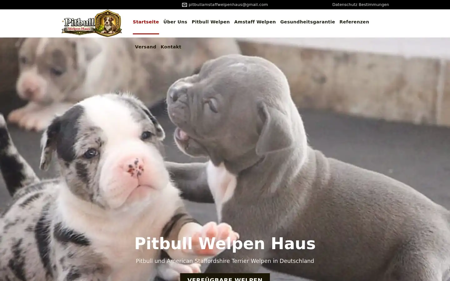 Screenshot of pitbullwelpen.com