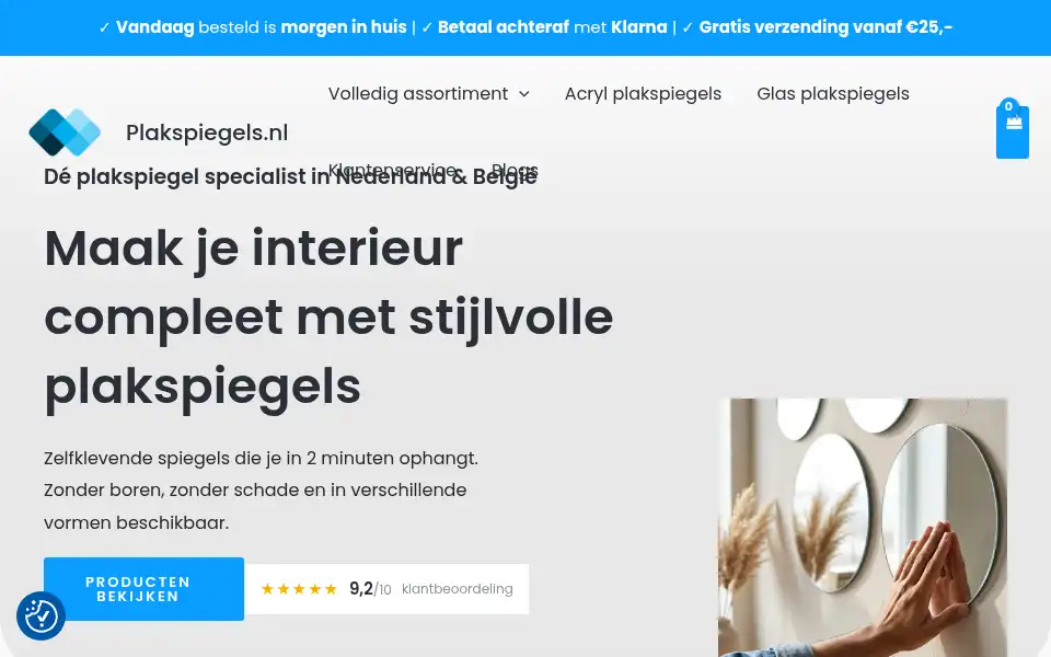 Screenshot of plakspiegels.nl