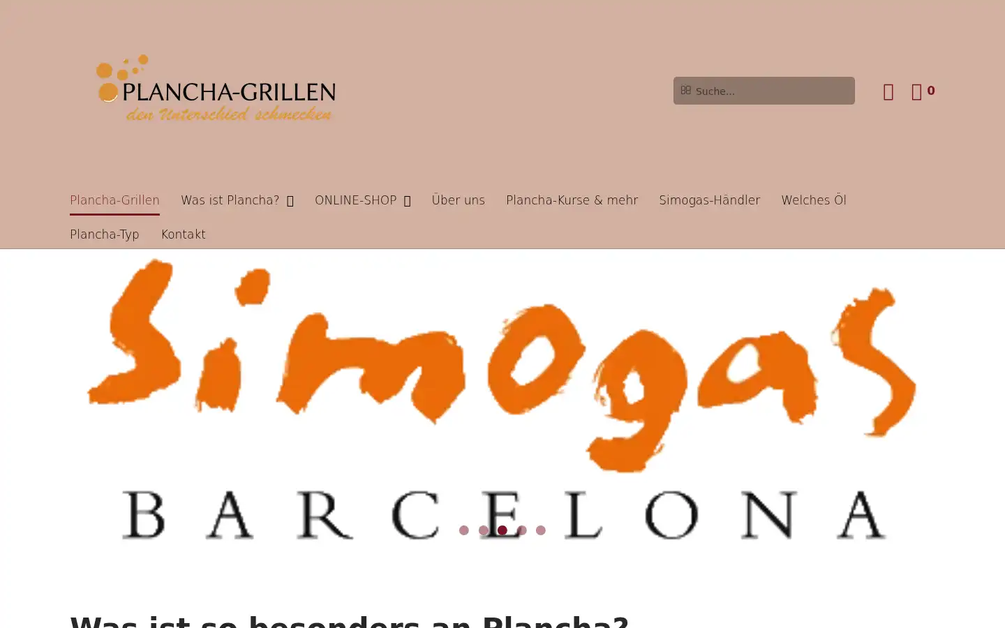 Screenshot of plancha-grillen.com