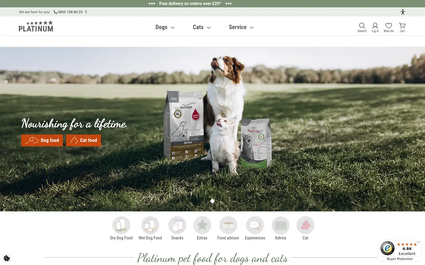Screenshot of platinum.co.uk