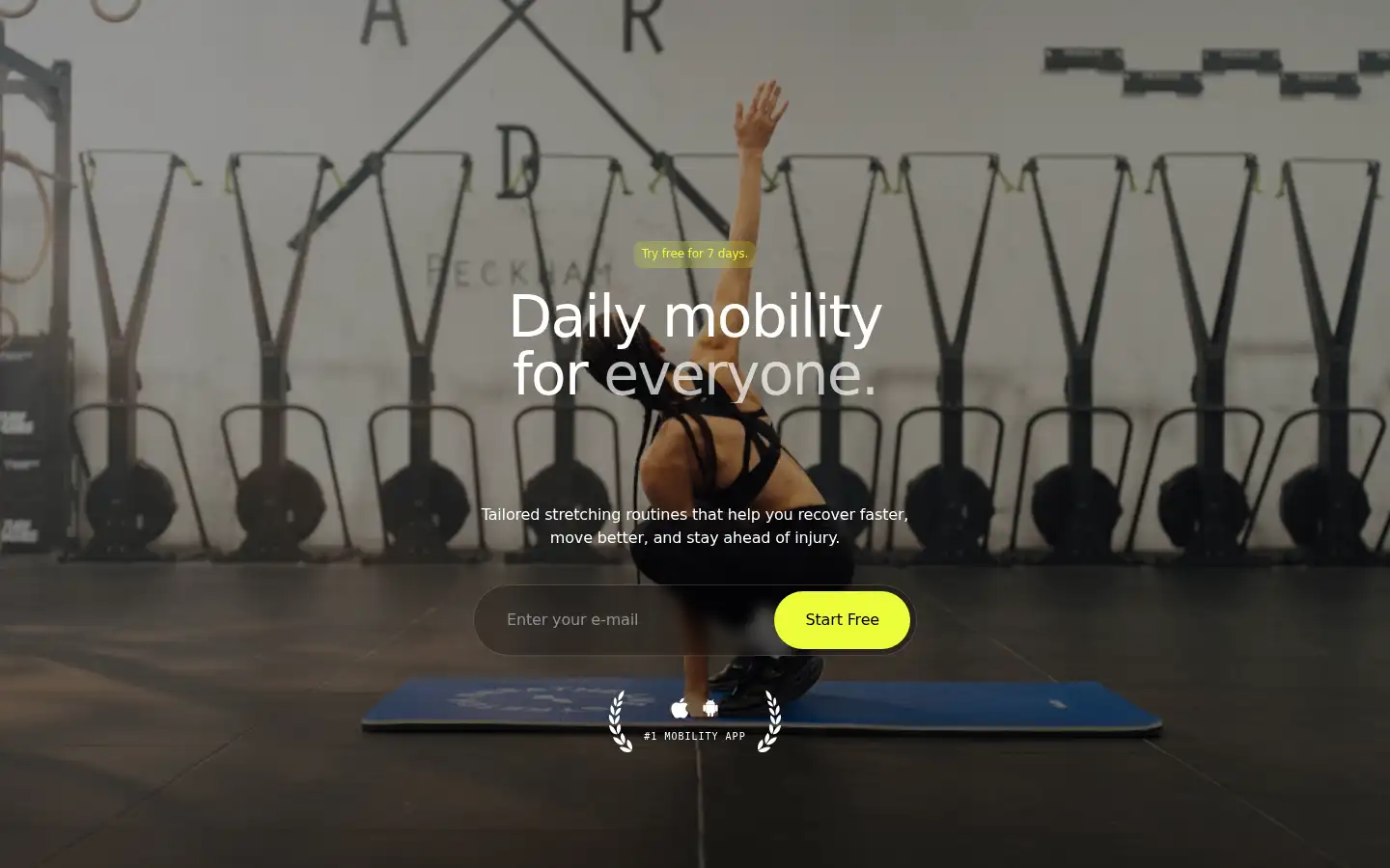 Screenshot of pliability.com