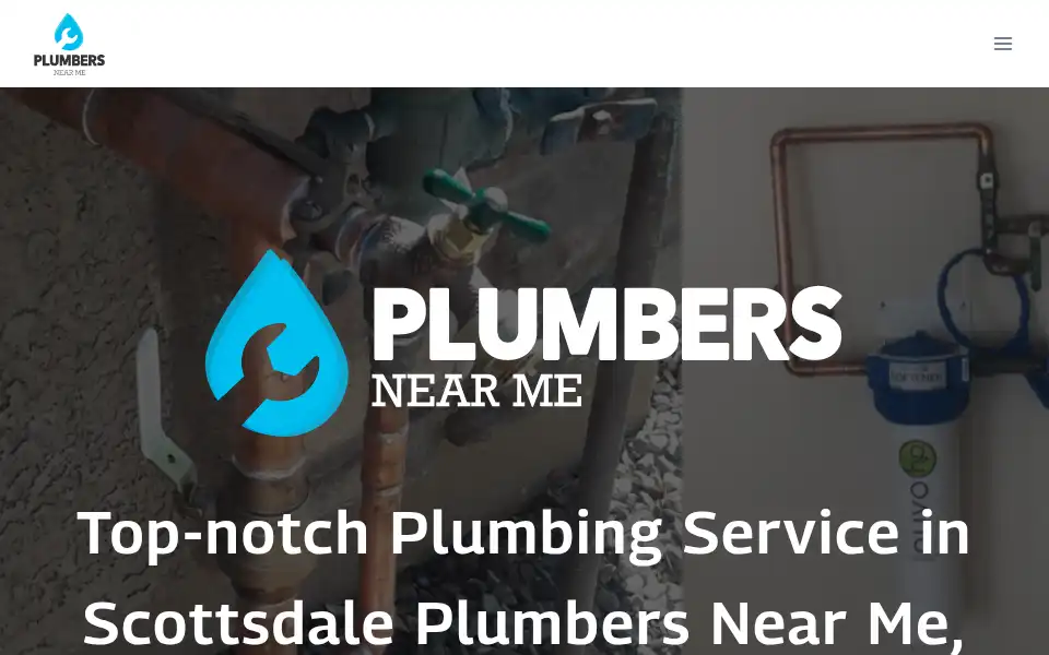 Screenshot of plumbersnearme.services