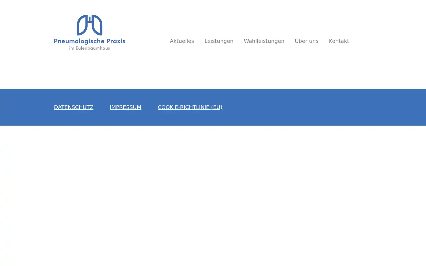 Screenshot of pneumo-im-eulenbaumhaus.de