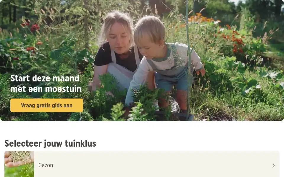 Screenshot of pokon.nl