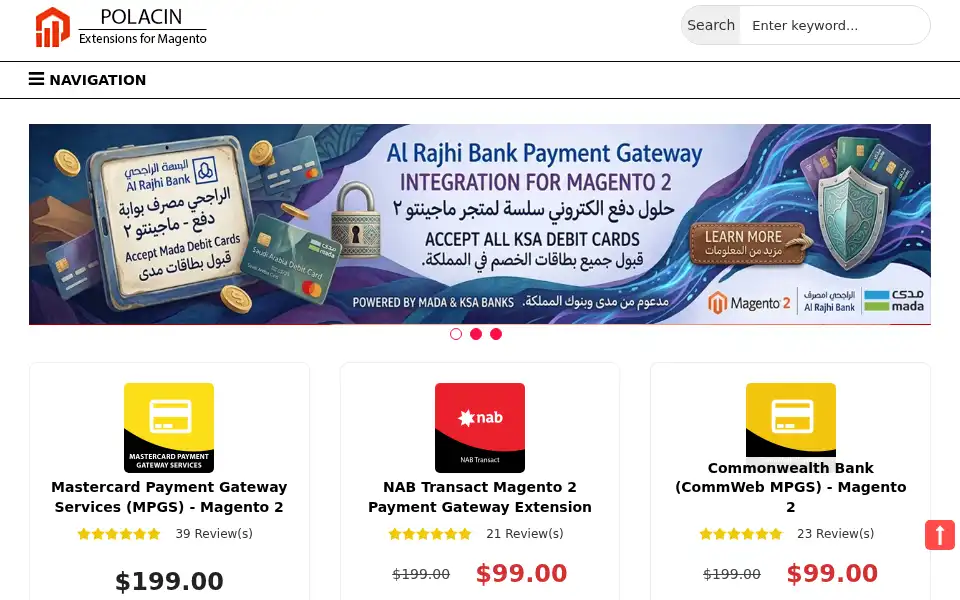 Screenshot of polacin.com