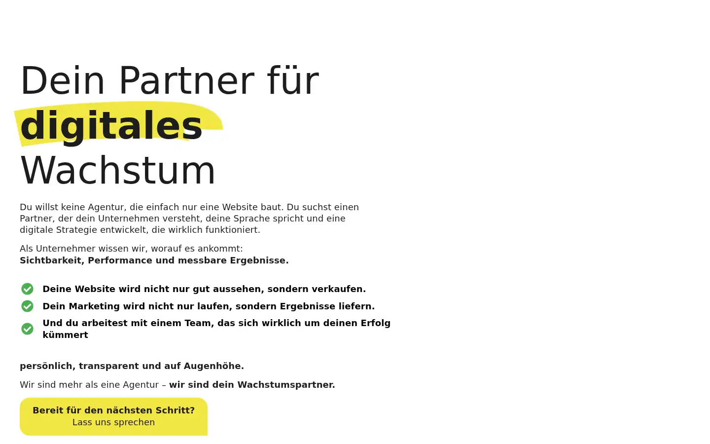 Screenshot of potential-company.de