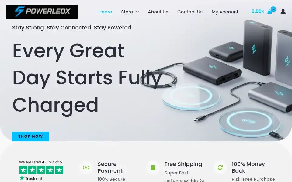 Screenshot of powerleox.com
