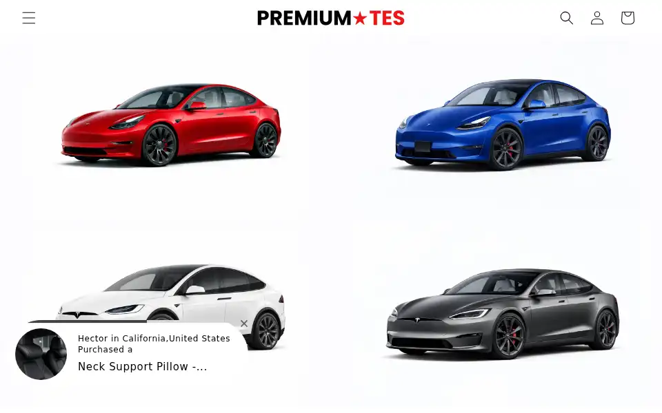 Screenshot of premiumtesla.com