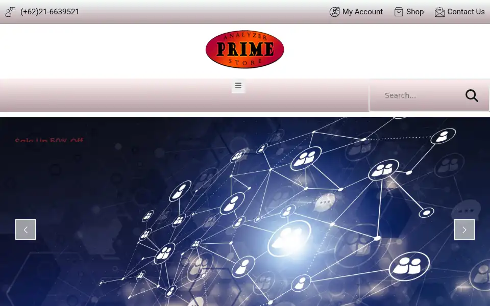 Screenshot of primeanalyzerstore.com