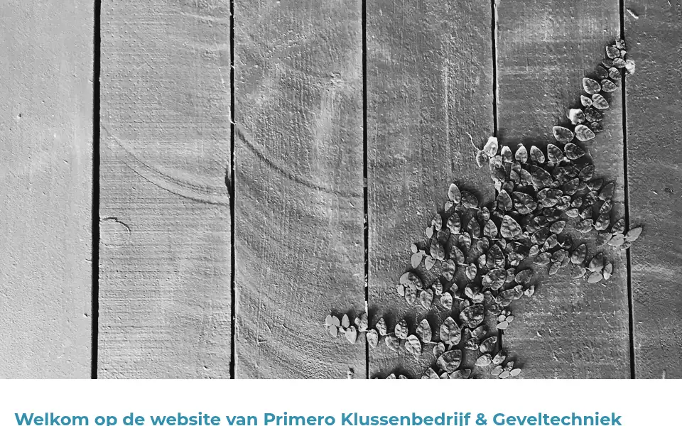Screenshot of primeroklus-geveltechniek.nl