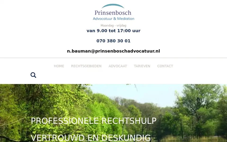 Screenshot of prinsenboschadvocatuur.nl