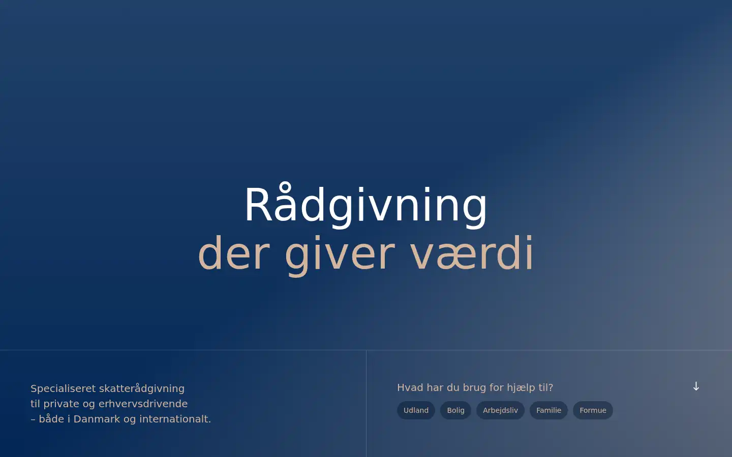 Screenshot of privatrevision.dk