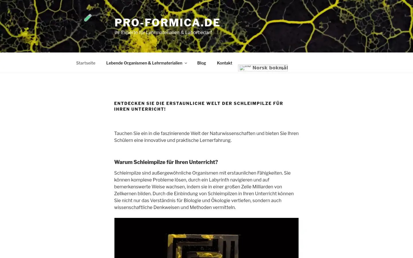 Screenshot of pro-formica.de