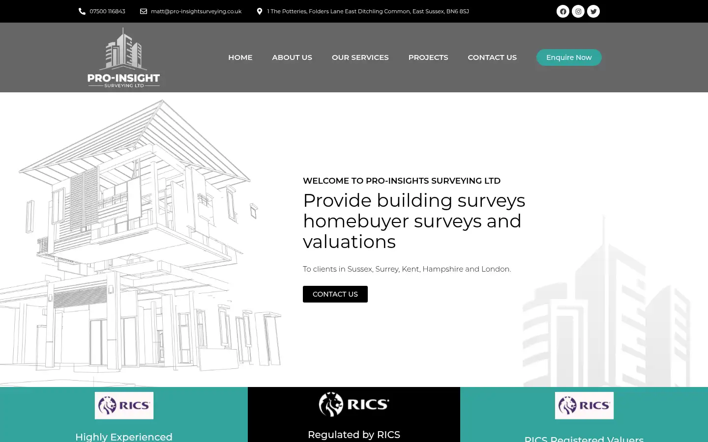 Screenshot of pro-insightsurveying.co.uk