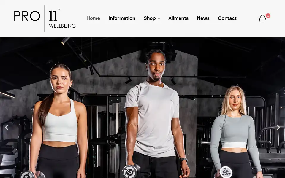 Screenshot of pro11wellbeing.co.uk
