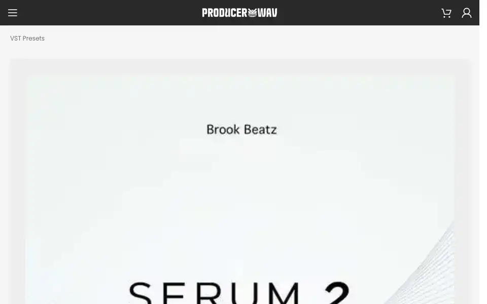 Screenshot of producerwav.com