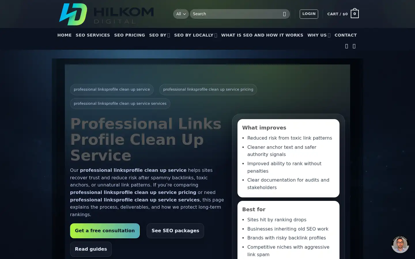 Screenshot of professionalseocleanup.com