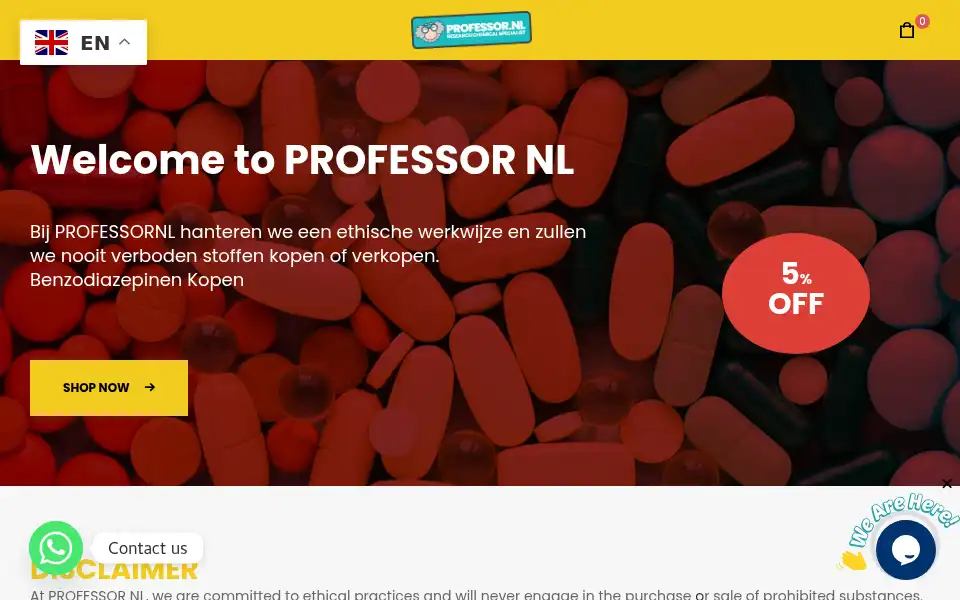 Screenshot of professornl.net