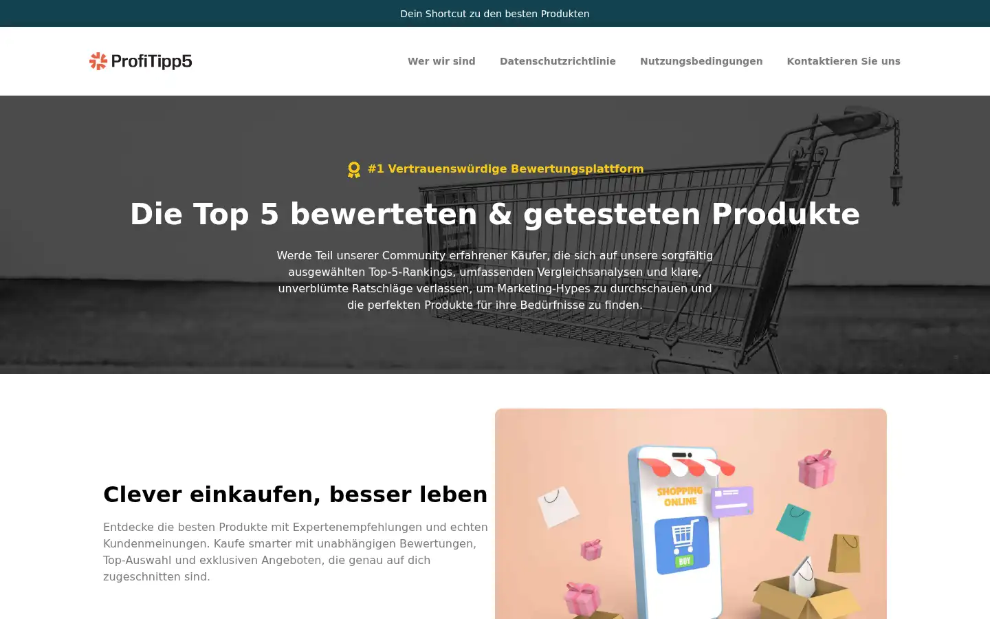 Screenshot of profitipp5.de