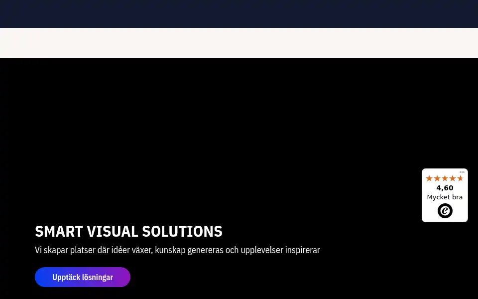Screenshot of projektorshop24.se