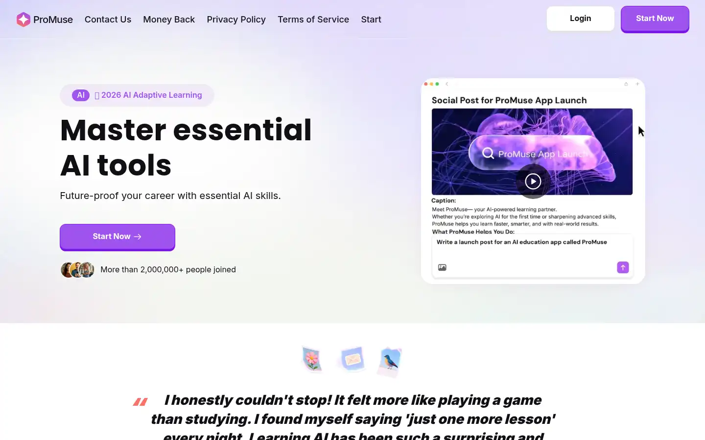 Screenshot of promuse.ai