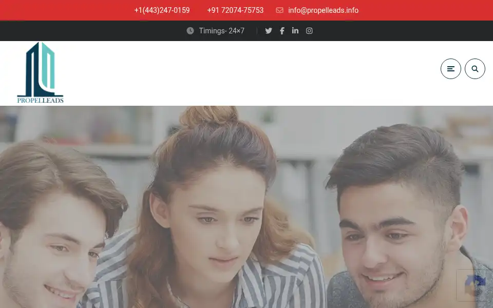 Screenshot of propelleads.info