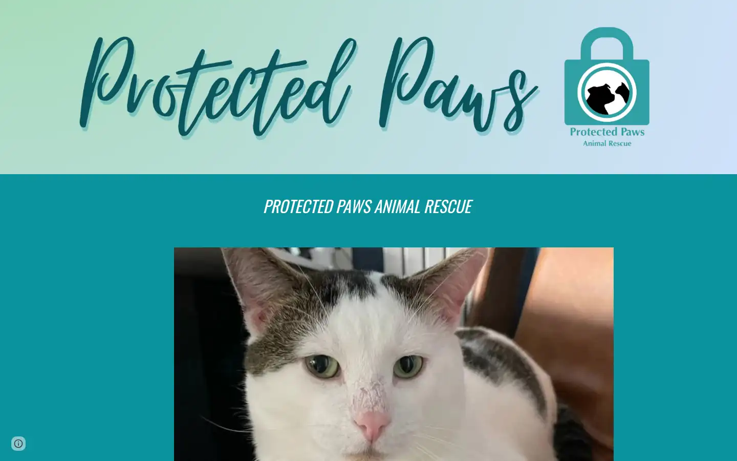 Screenshot of protectedpaws.co.uk