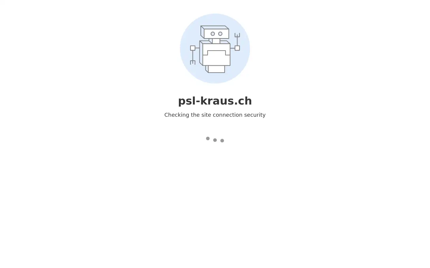 Screenshot of psl-kraus.ch