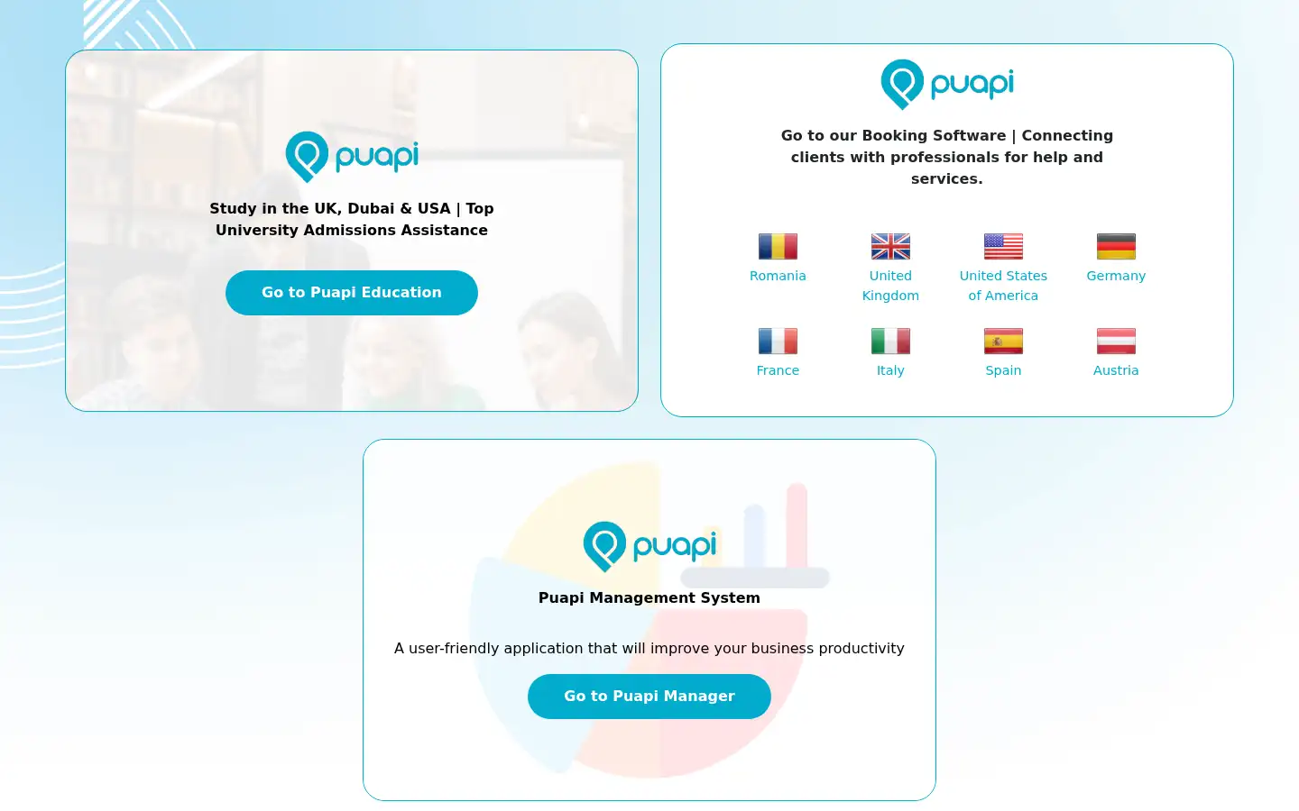 Screenshot of puapi.com