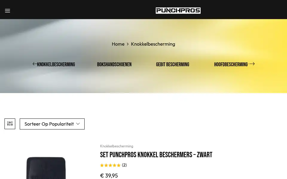 Screenshot of punchpros.nl