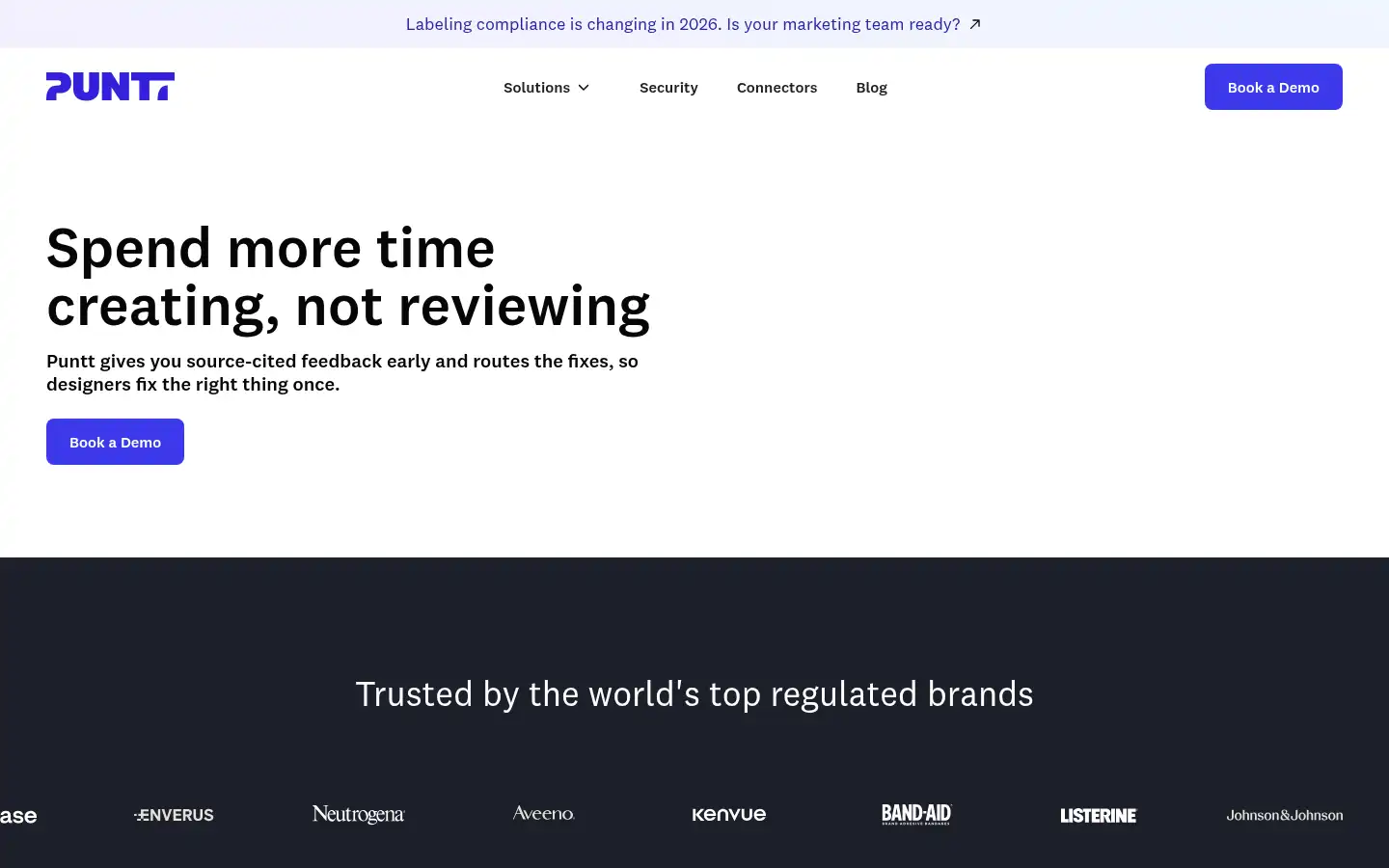 Screenshot of puntt.ai