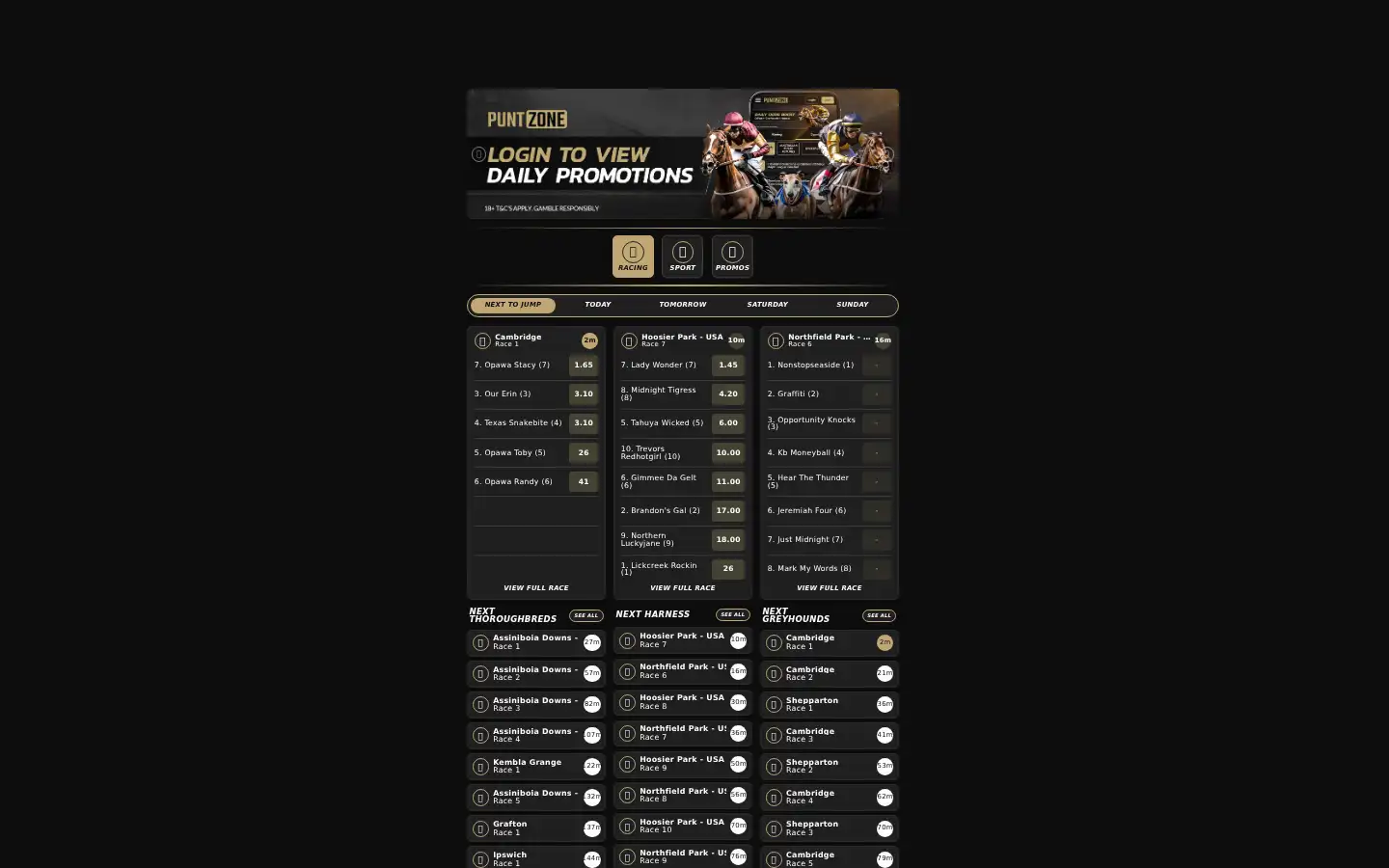 Screenshot of puntzone.com.au