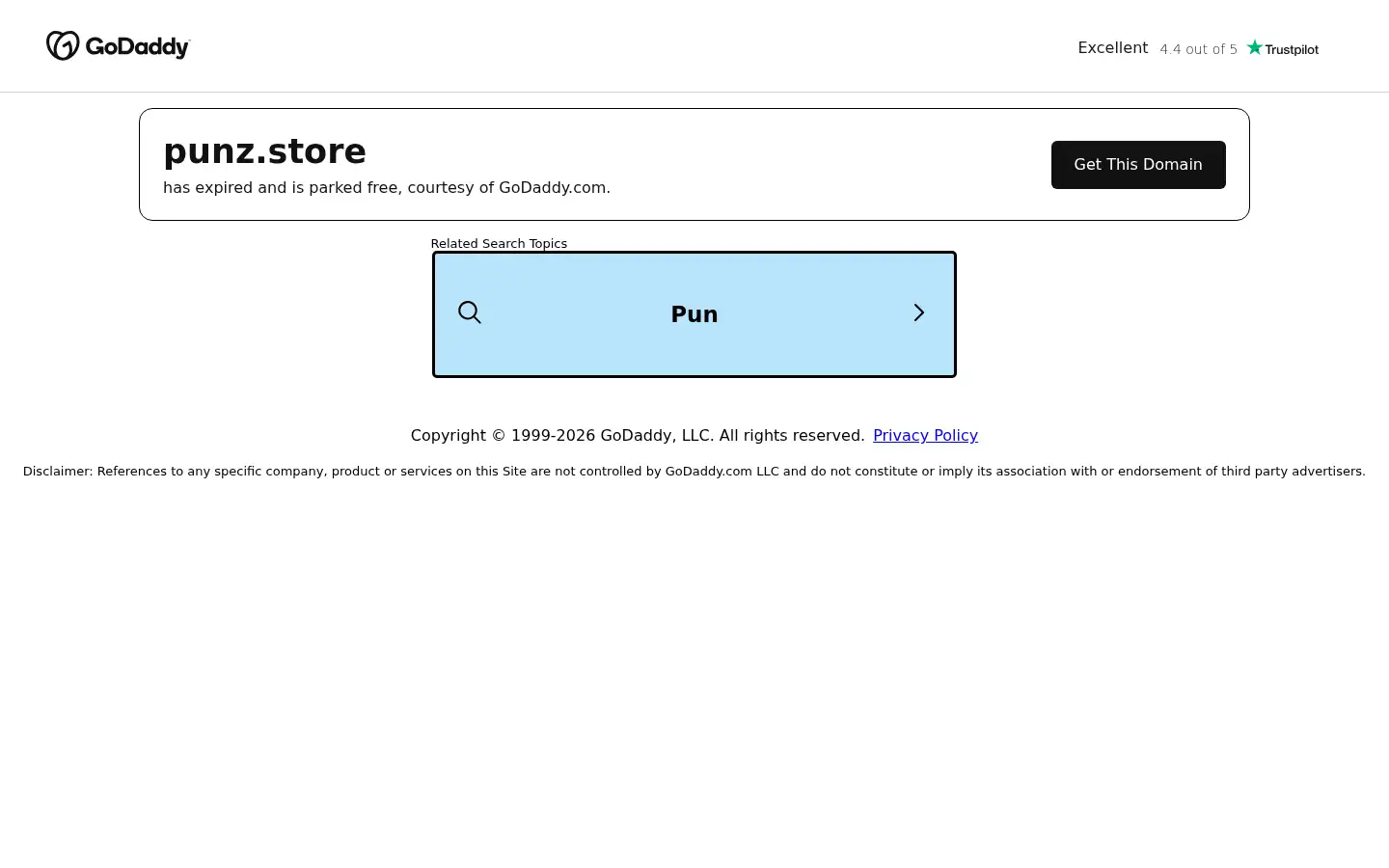 Screenshot of punz.store