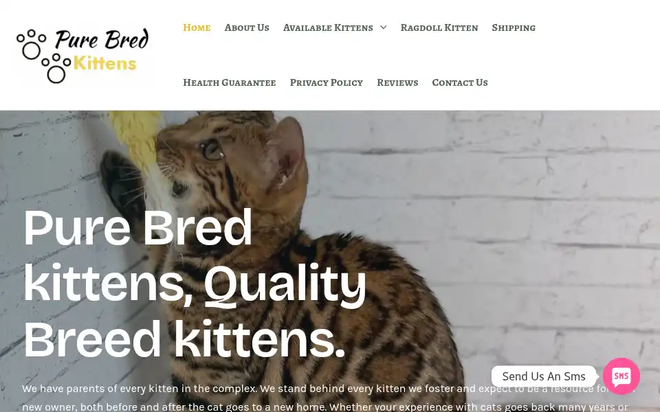 Screenshot of purebredkitten.com