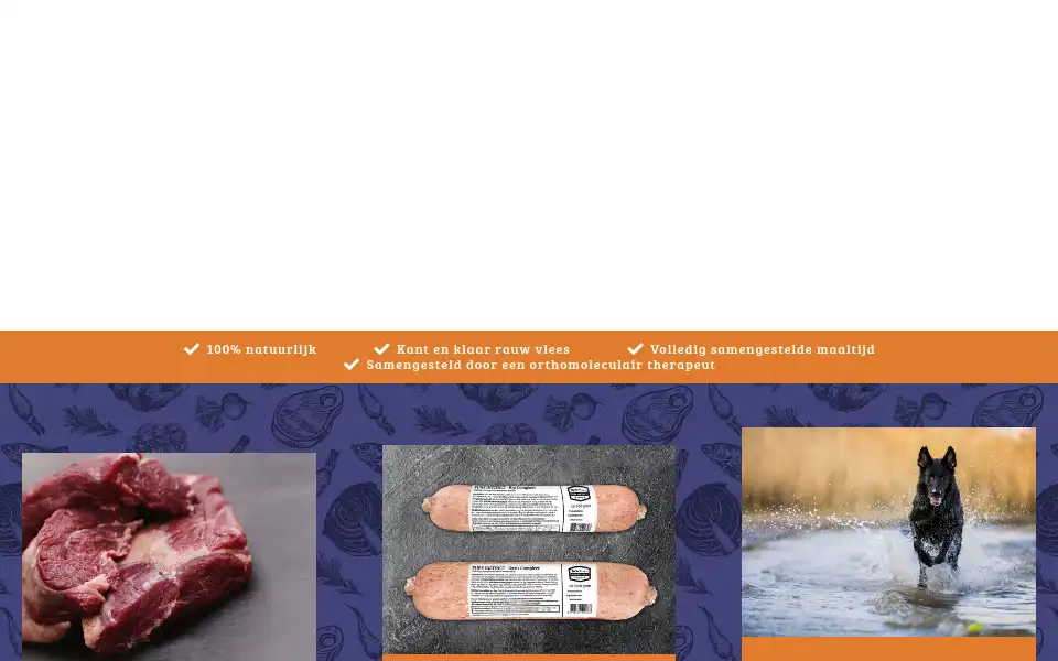 Screenshot of pureinstinct.nl