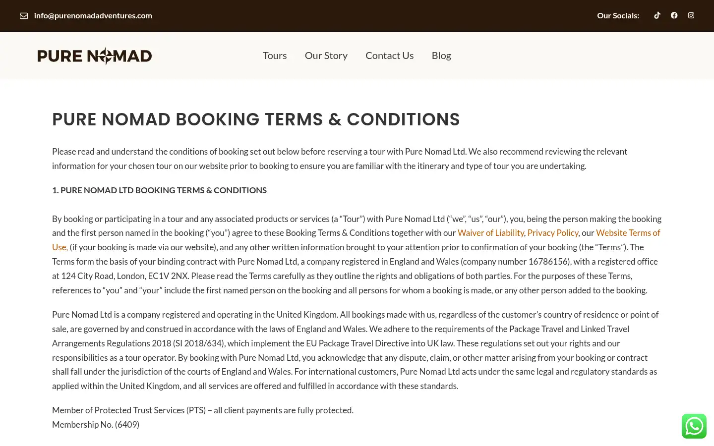 Screenshot of purenomadadventures.com