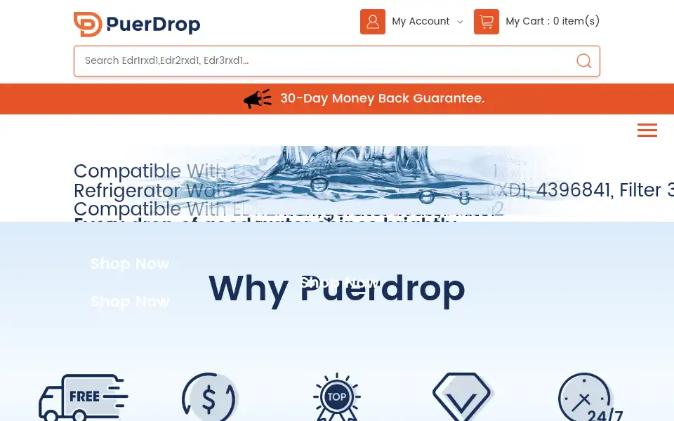 Screenshot of purerdrop.com