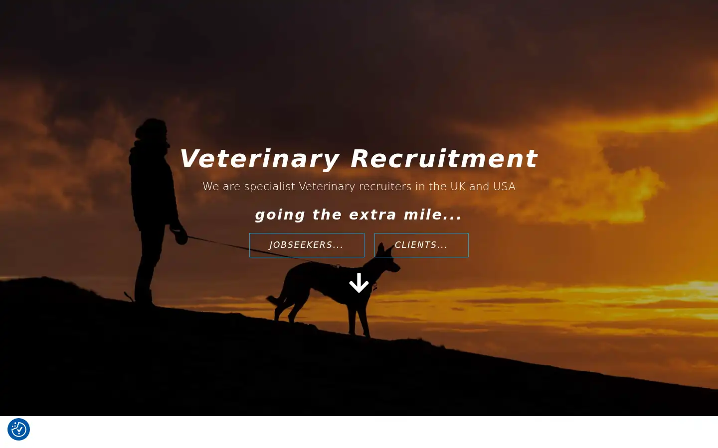 Screenshot of purovets.com