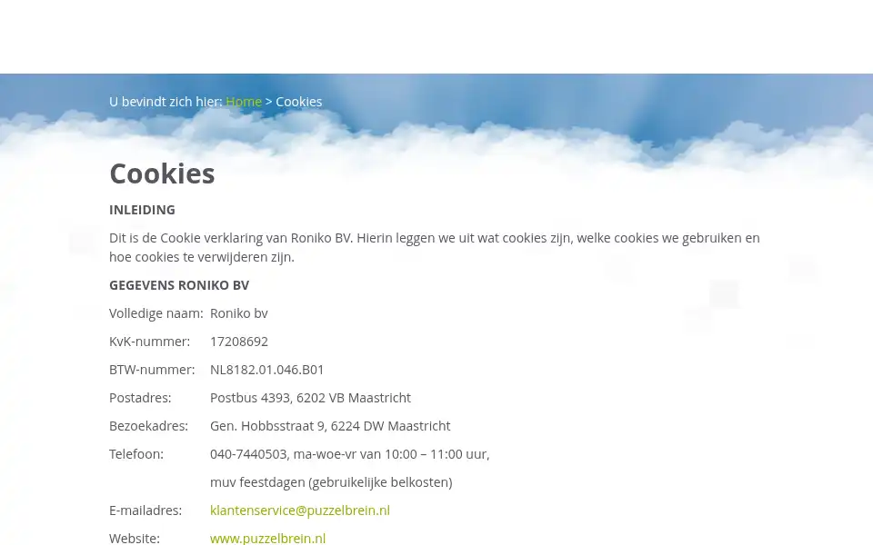 Screenshot of puzzelbrein.nl