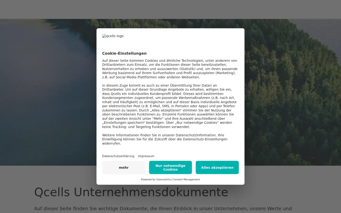 Screenshot of q-cells.de