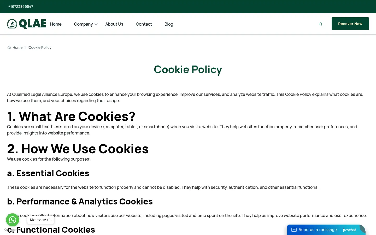 Screenshot of qlaeinc.com