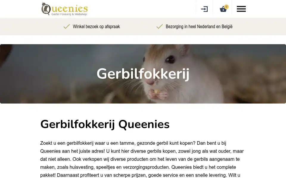 Screenshot of queenies.nl